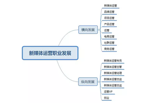佳帝涂料新媒体推广